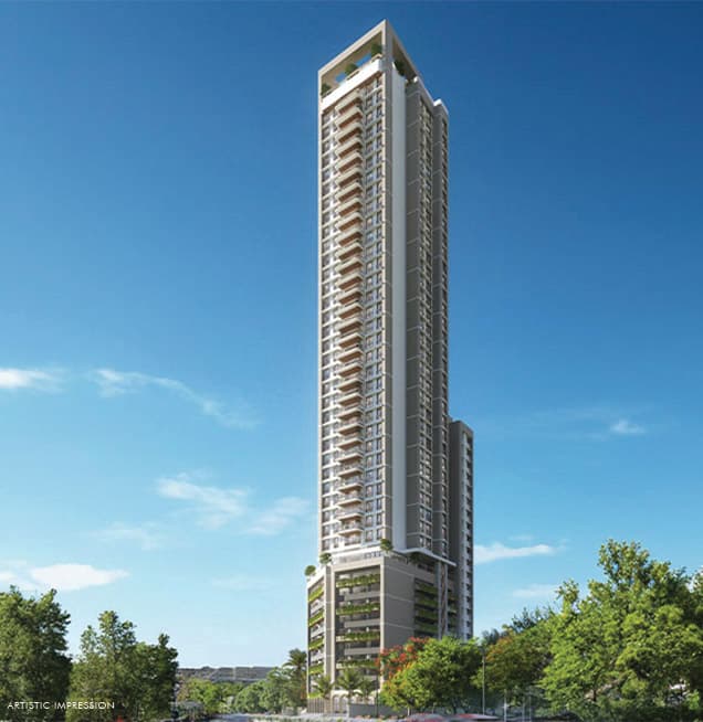 The Stardeous - Photo 1